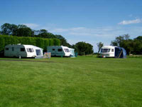 Proctor's Stead Campiong and Caravanning Park