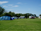 Proctor's Stead Camping and Caravanning Park