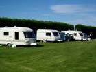 Proctor's Stead Camping and Caravanning Park