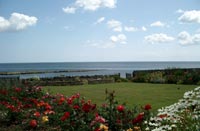 Rock Ville, Craster